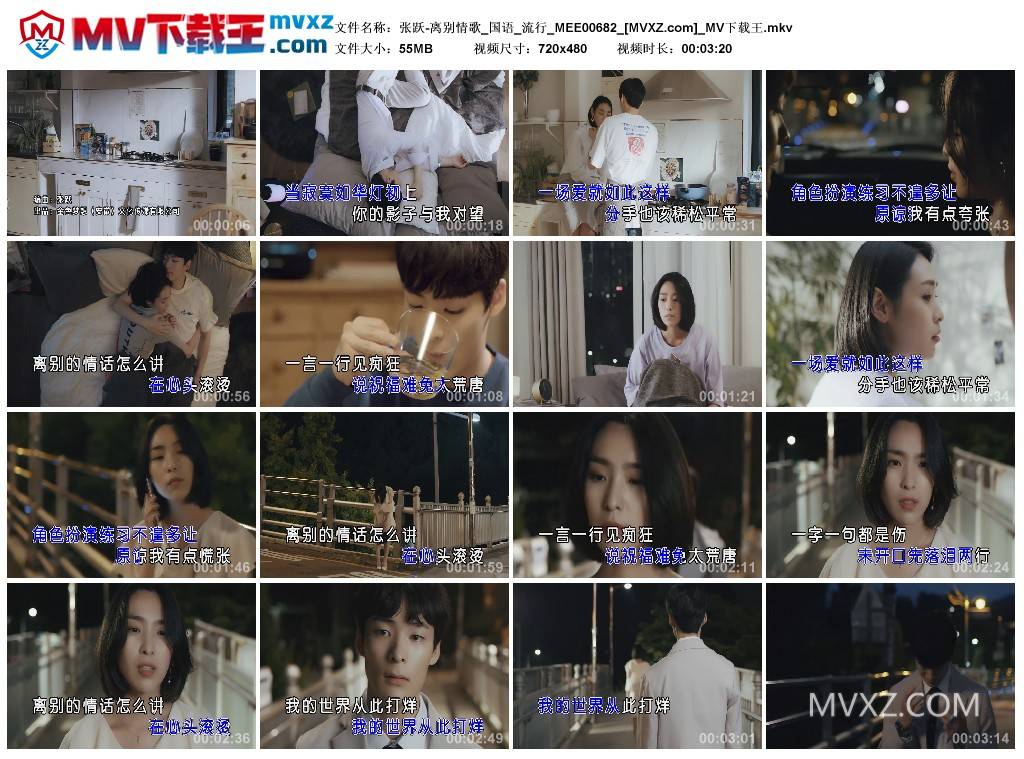 张跃-离别情歌_国语_流行_MEE00682